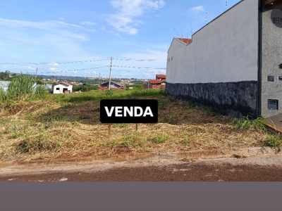 10 - Copia