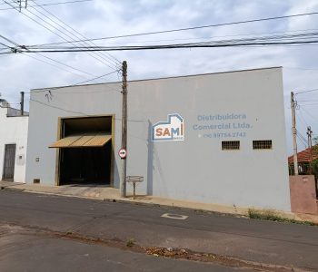 10 - Copia