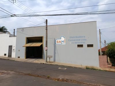 10 - Copia