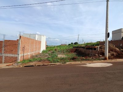 10 - Copia